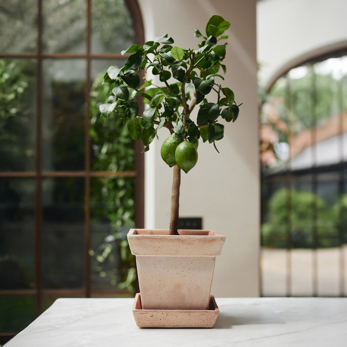 Gaia Pot RAW Rosa