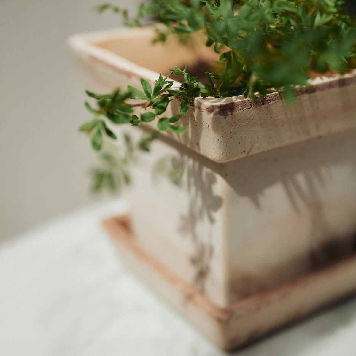 Gaia Pot RAW Rosa