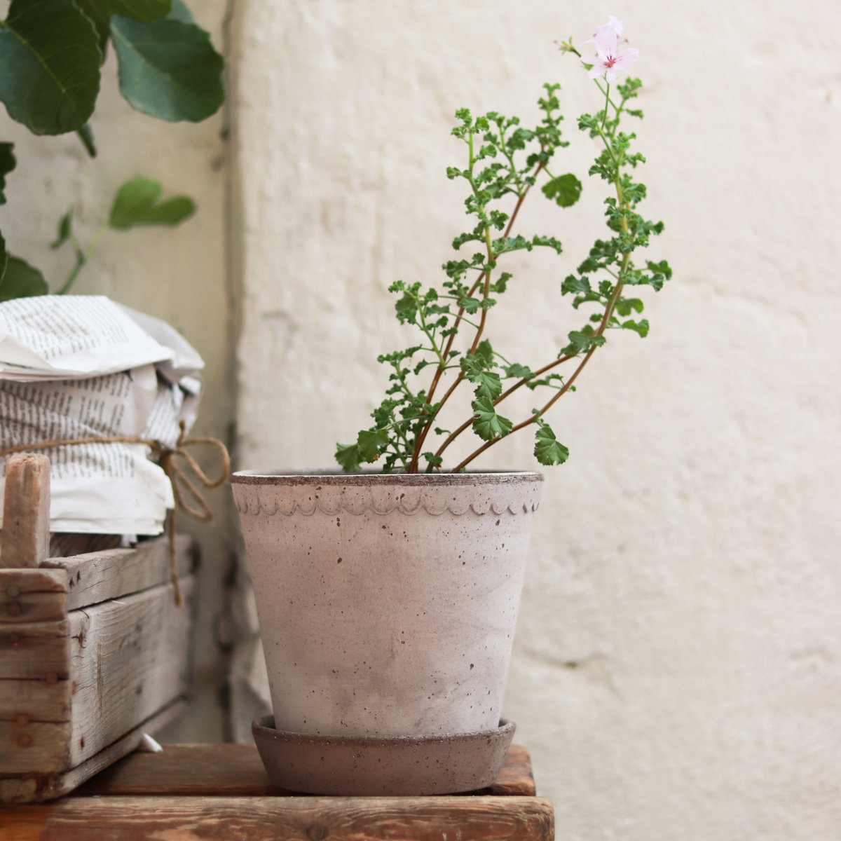 Helena Pot RAW Grey