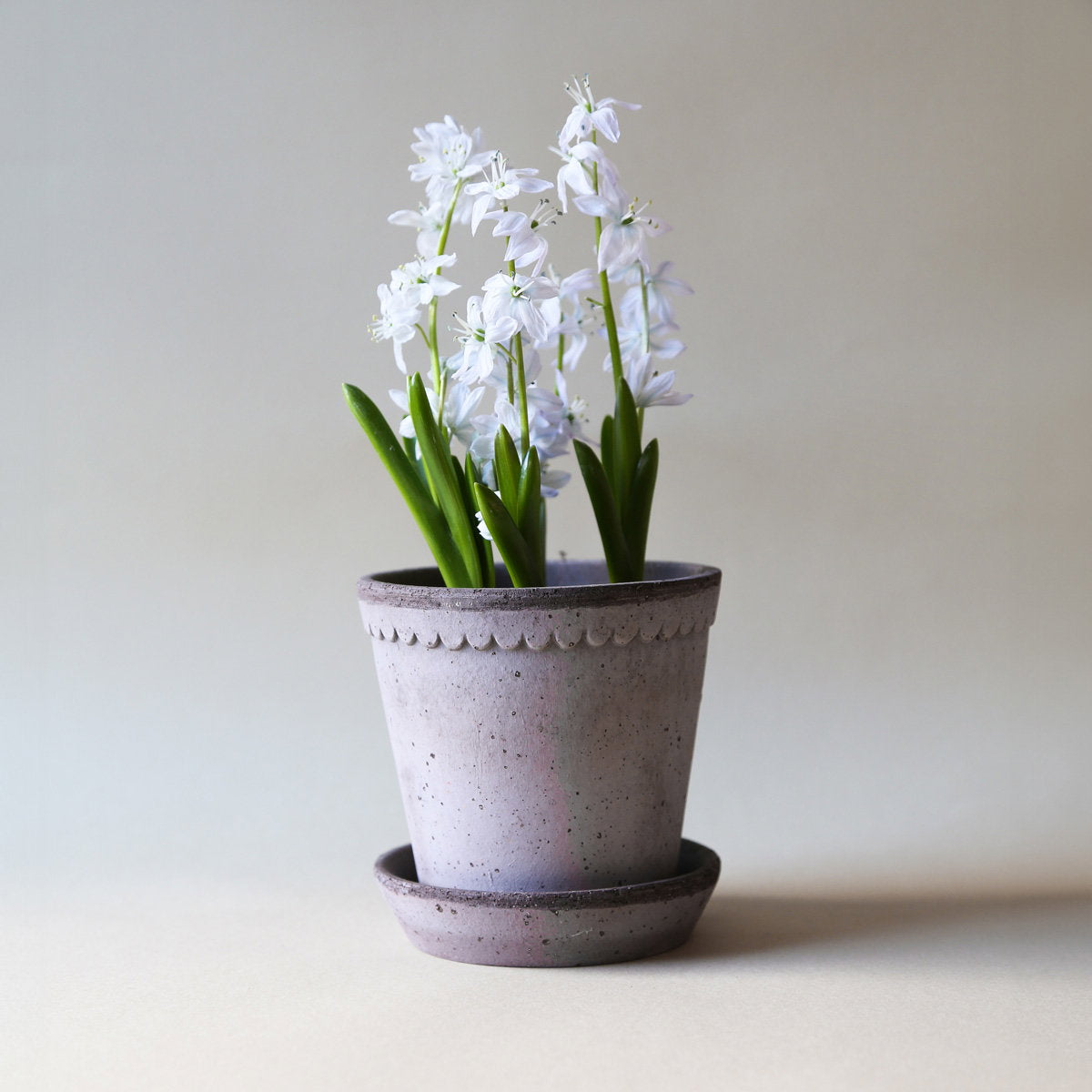 Helena Pot RAW Grey