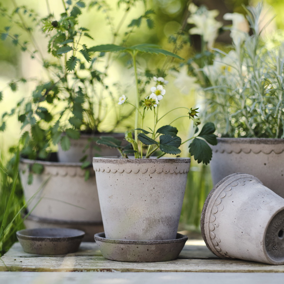 Helena Pot RAW Grey
