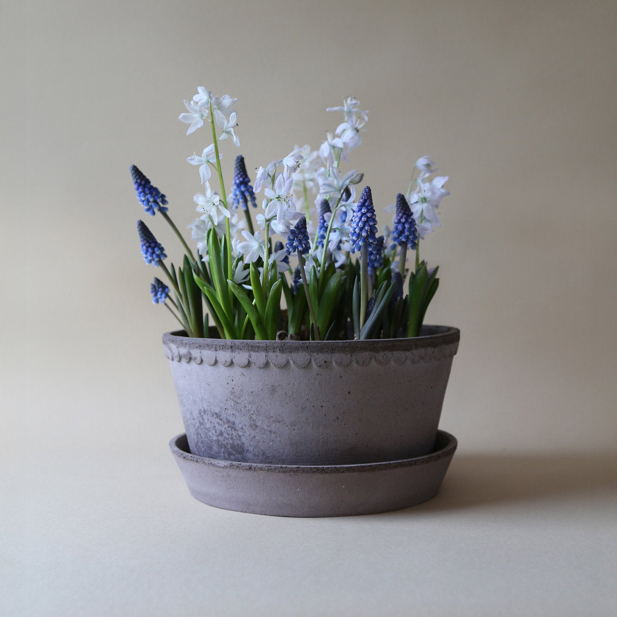 Helena Low Pot RAW Grey