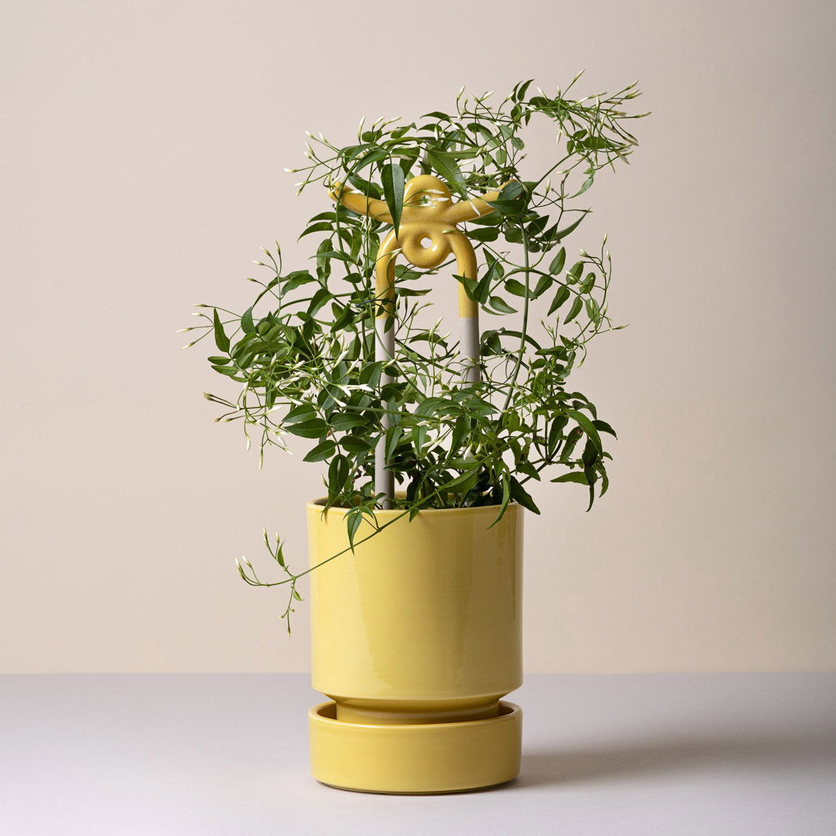 Hoff Pot Pale Yellow
