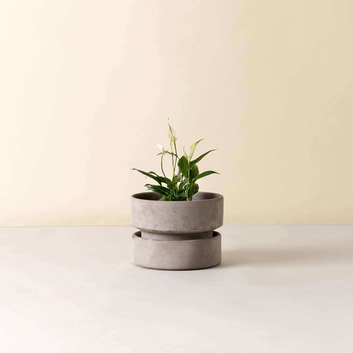 Hoff Low Pot RAW Grey