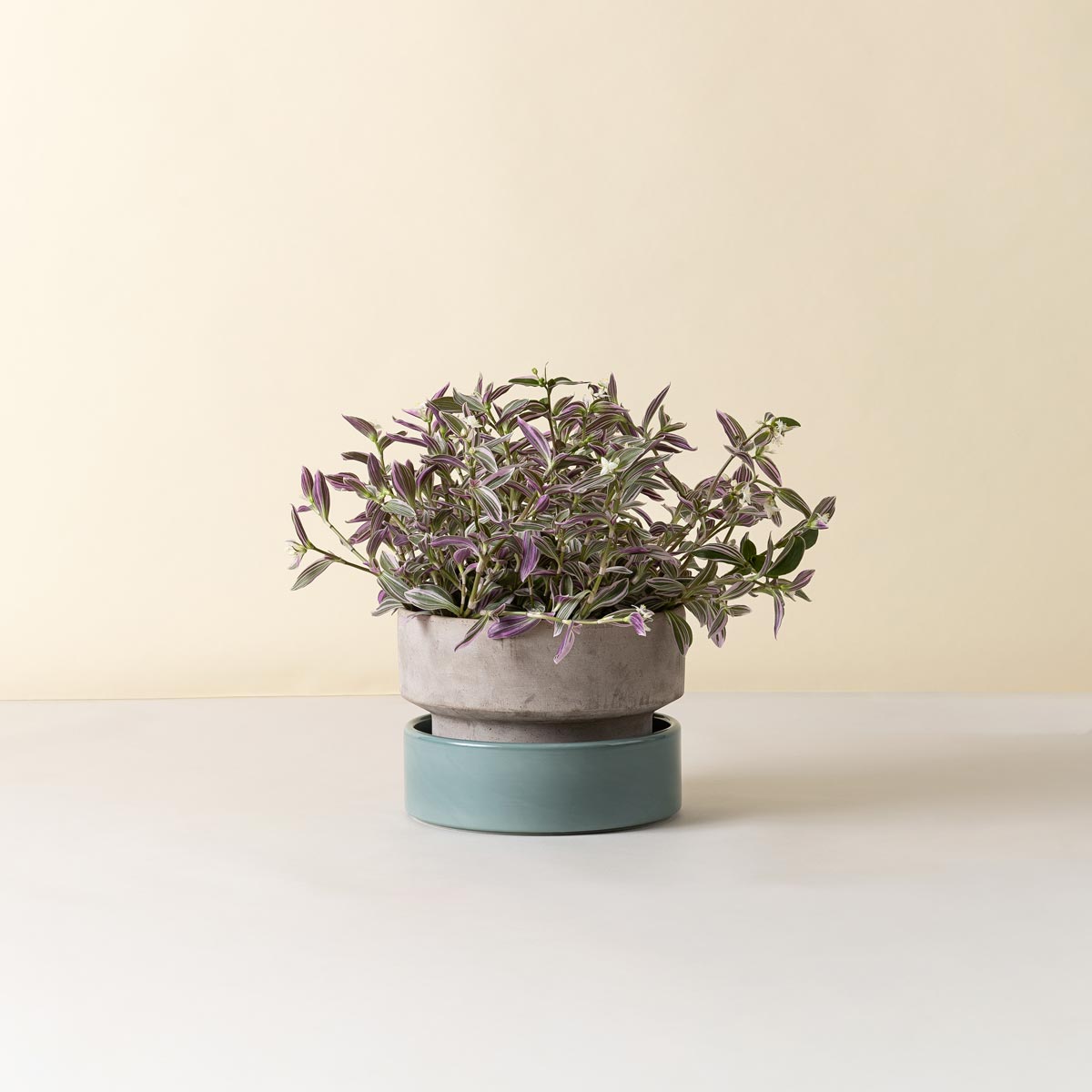 Hoff Low Pot RAW Grey
