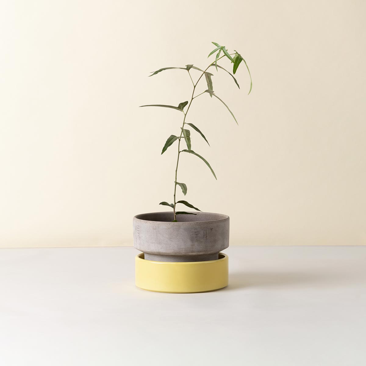 Hoff Low Pot RAW Grey