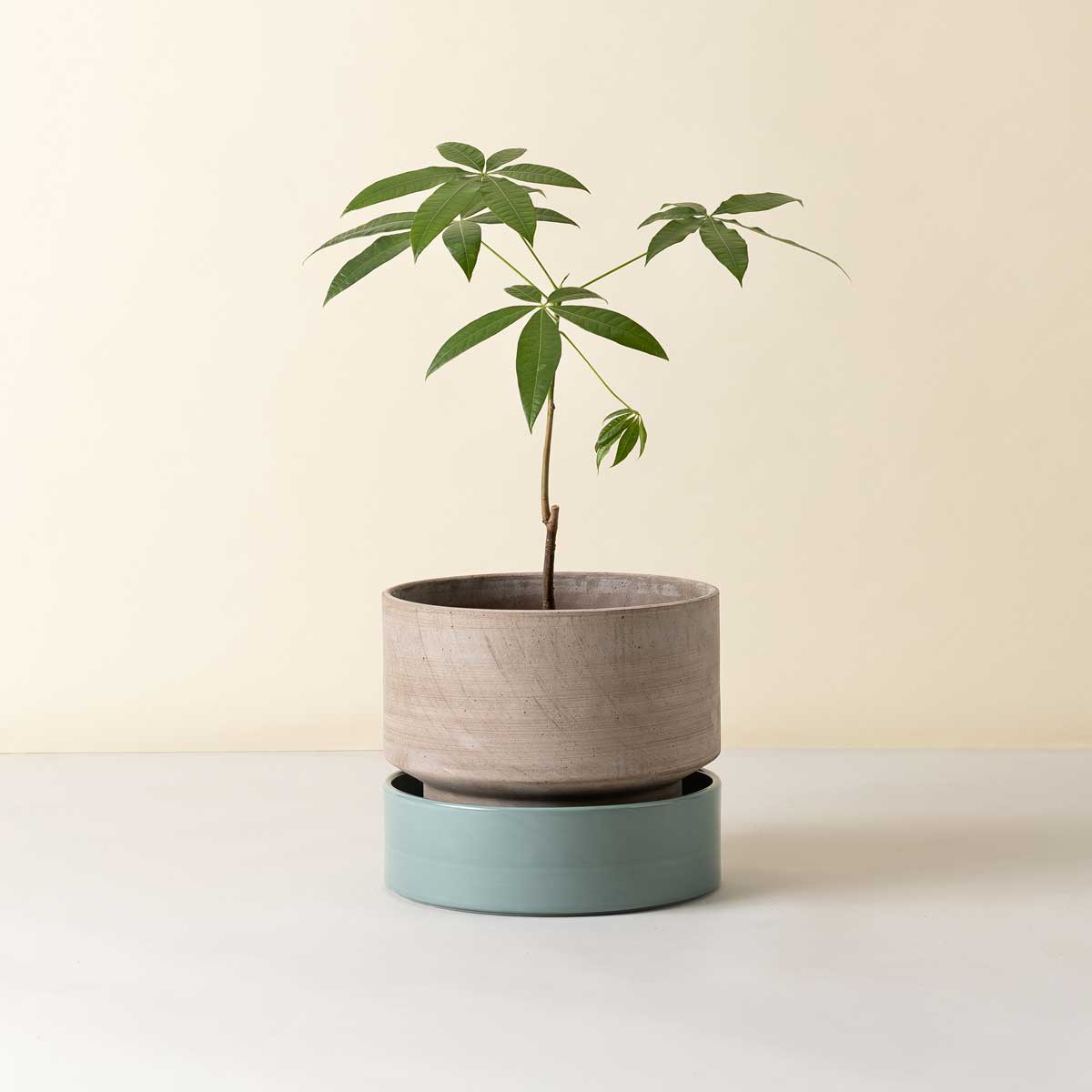 Hoff Large Pot RAW Grey