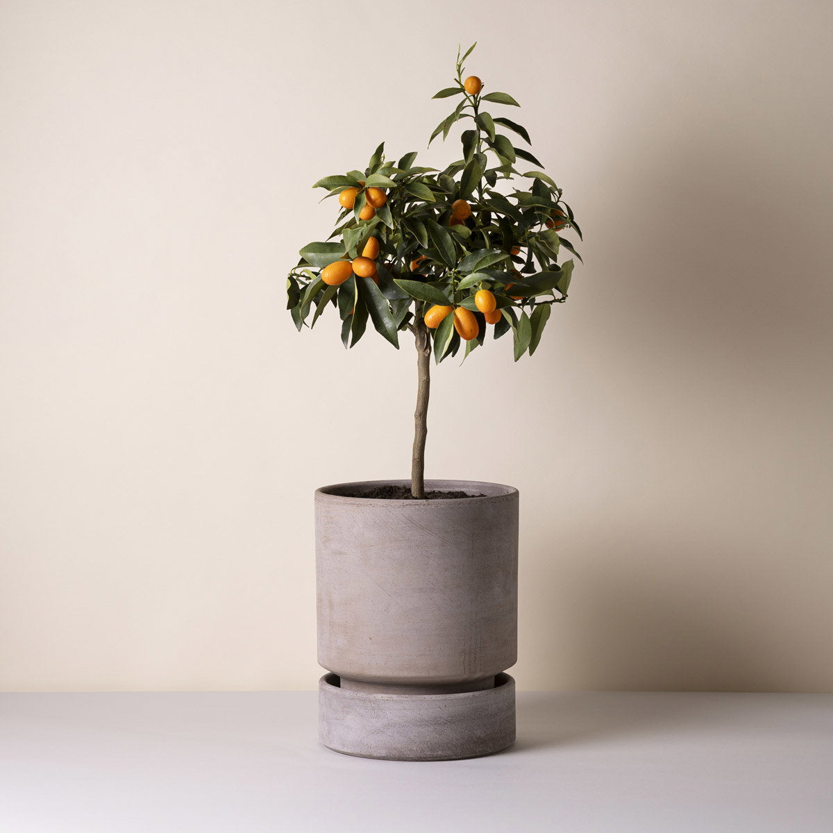 Hoff Pot RAW Grey