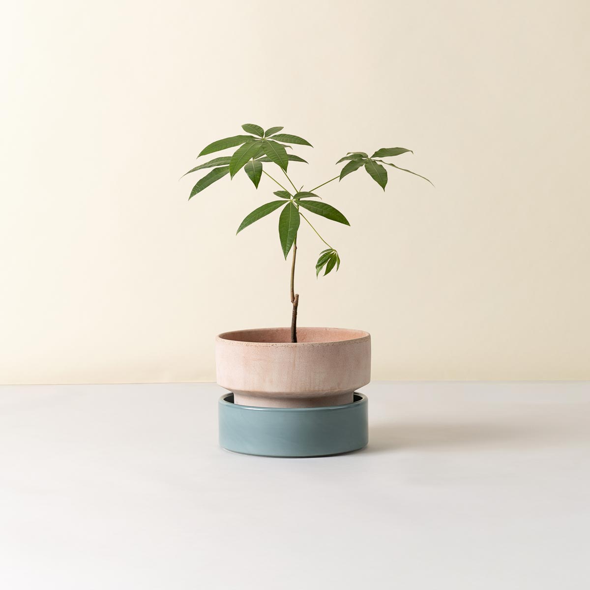 Hoff Low Pot RAW Rosa