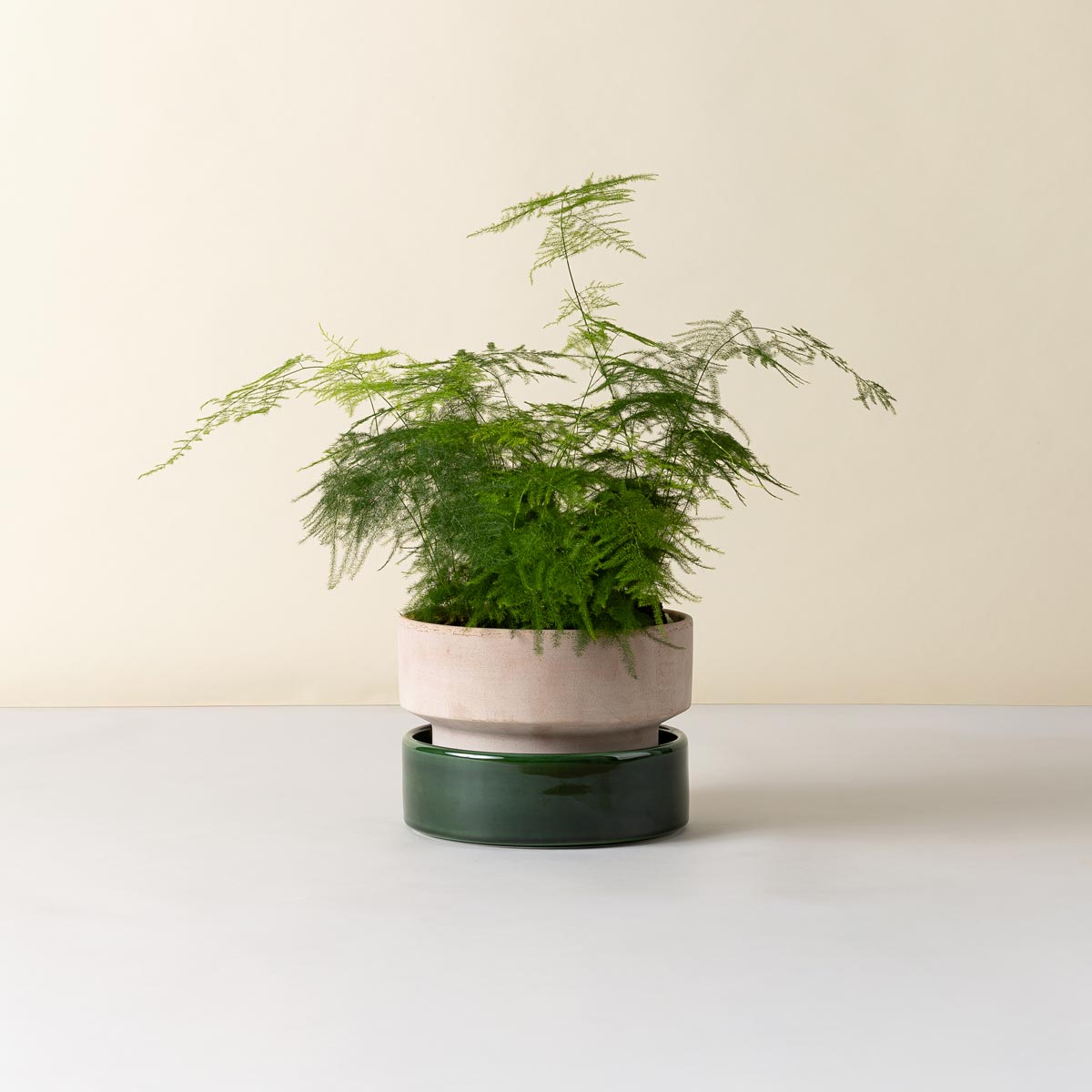 Hoff Low Pot RAW Rosa