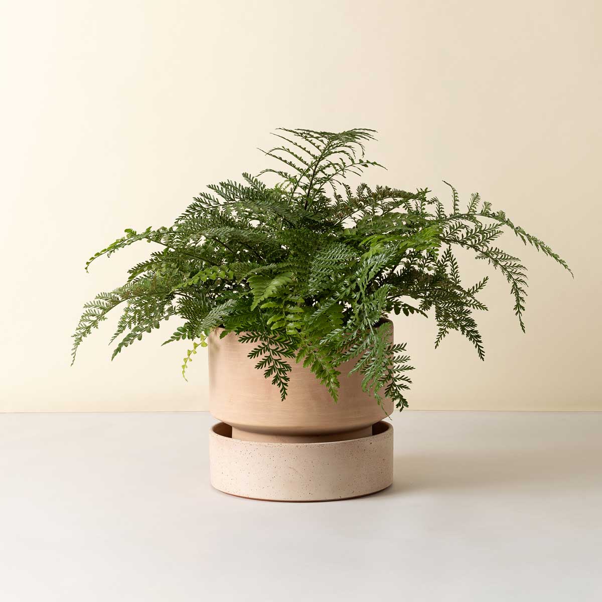 Hoff Large Pot RAW Rosa