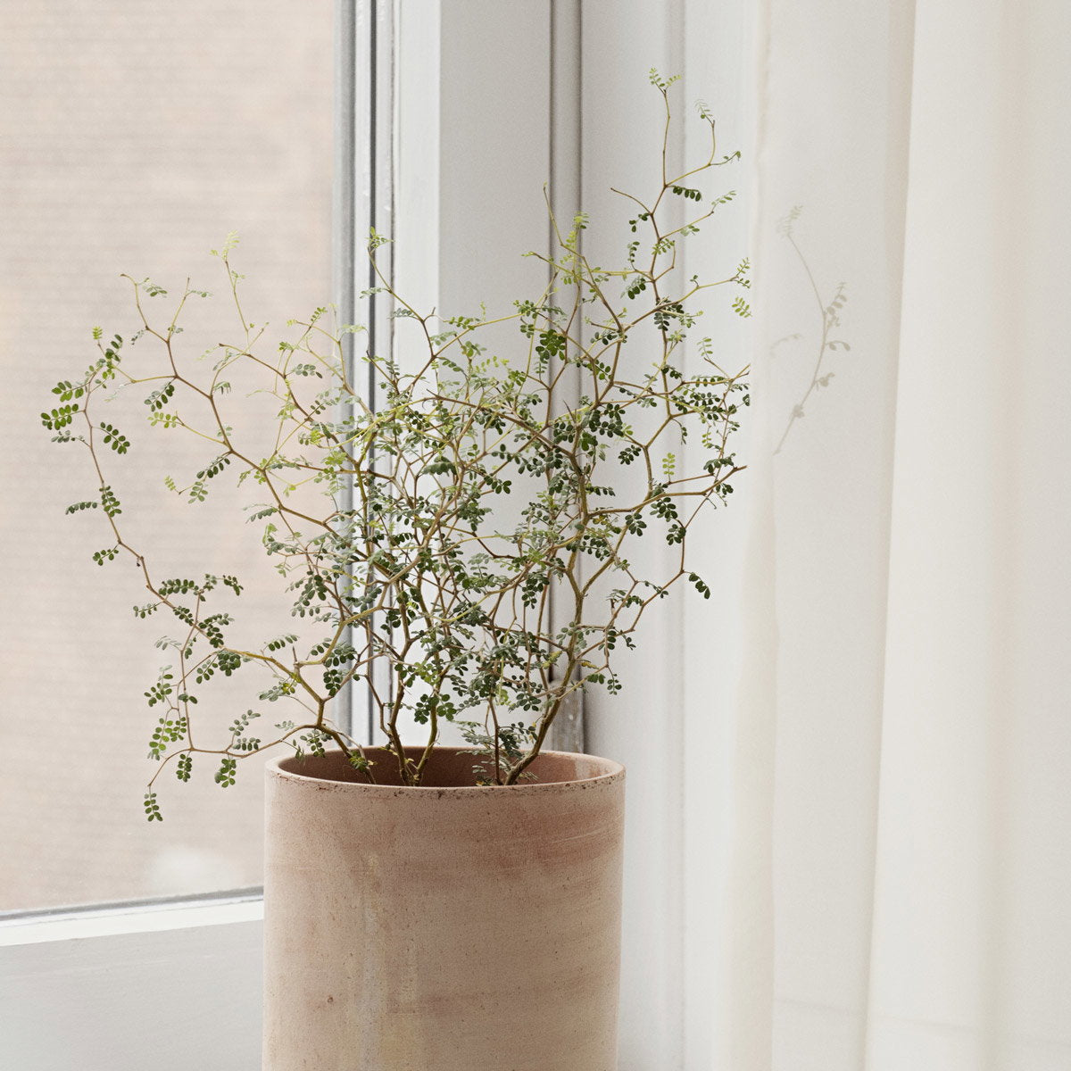 Hoff Pot RAW Rosa