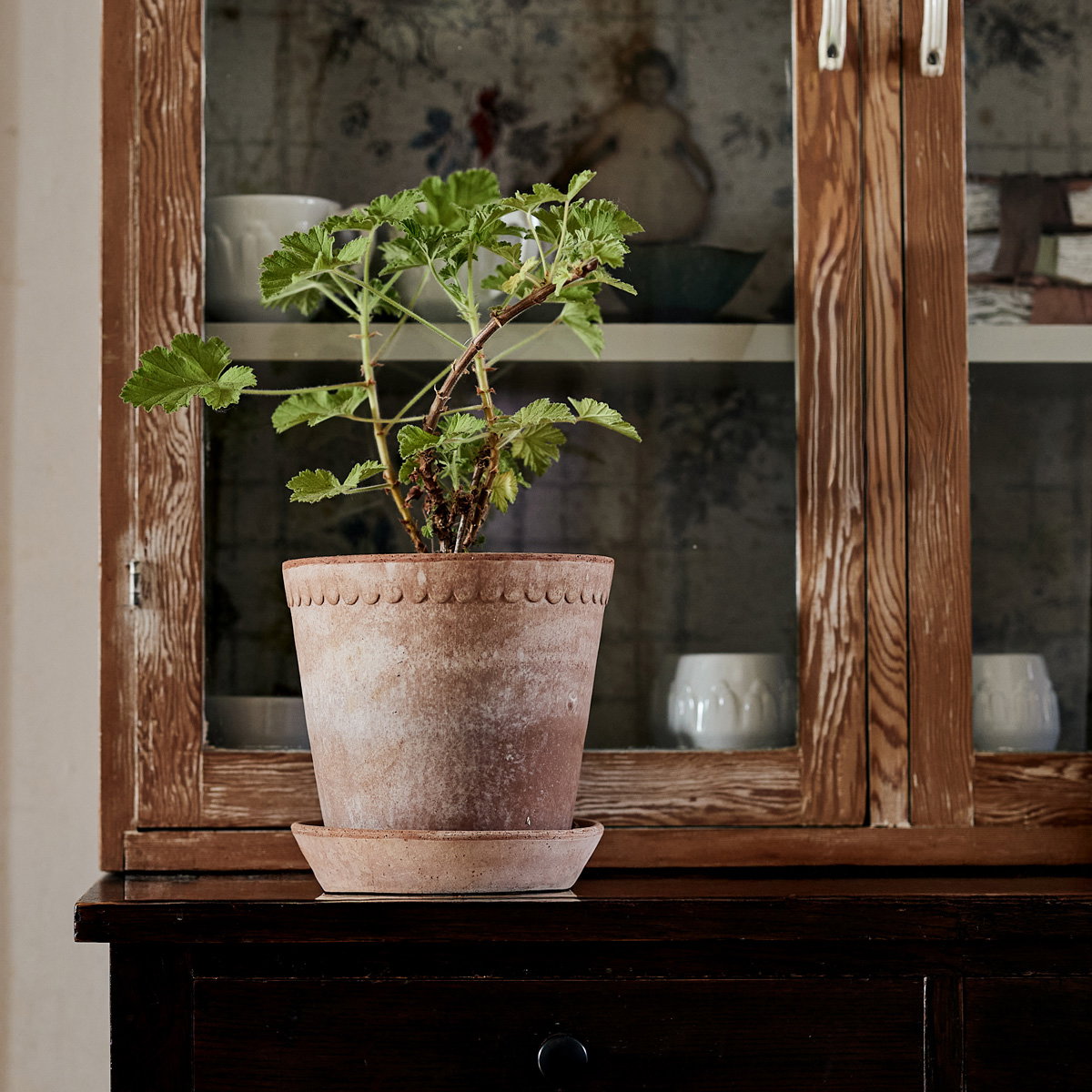 Helena Pot RAW Rosa