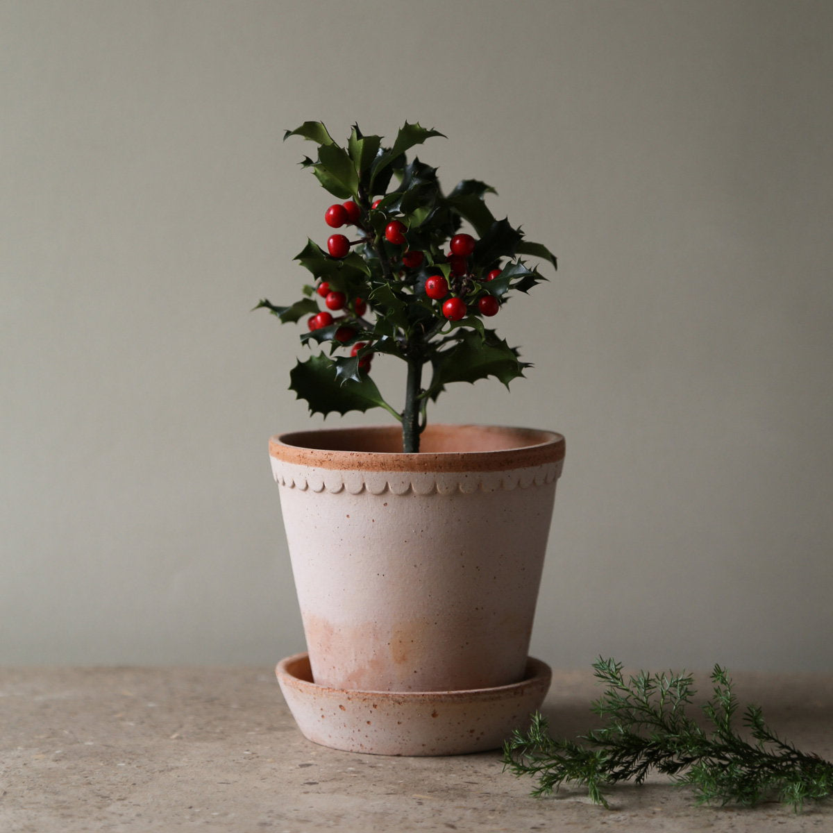 Helena Pot RAW Rosa