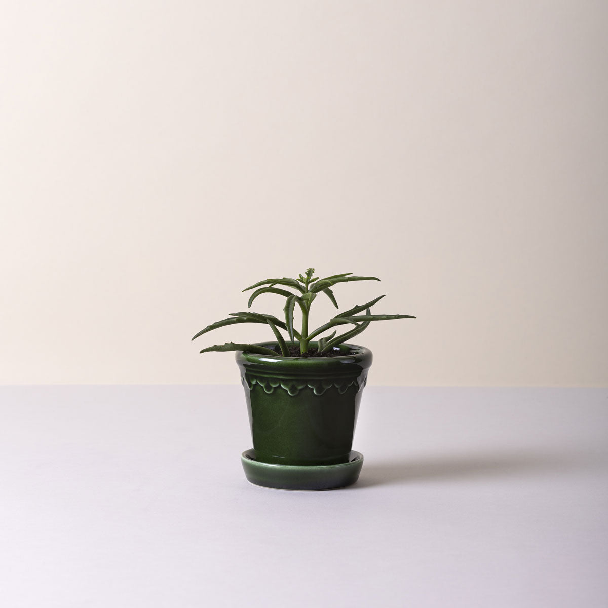Københavner Pot Emerald Green