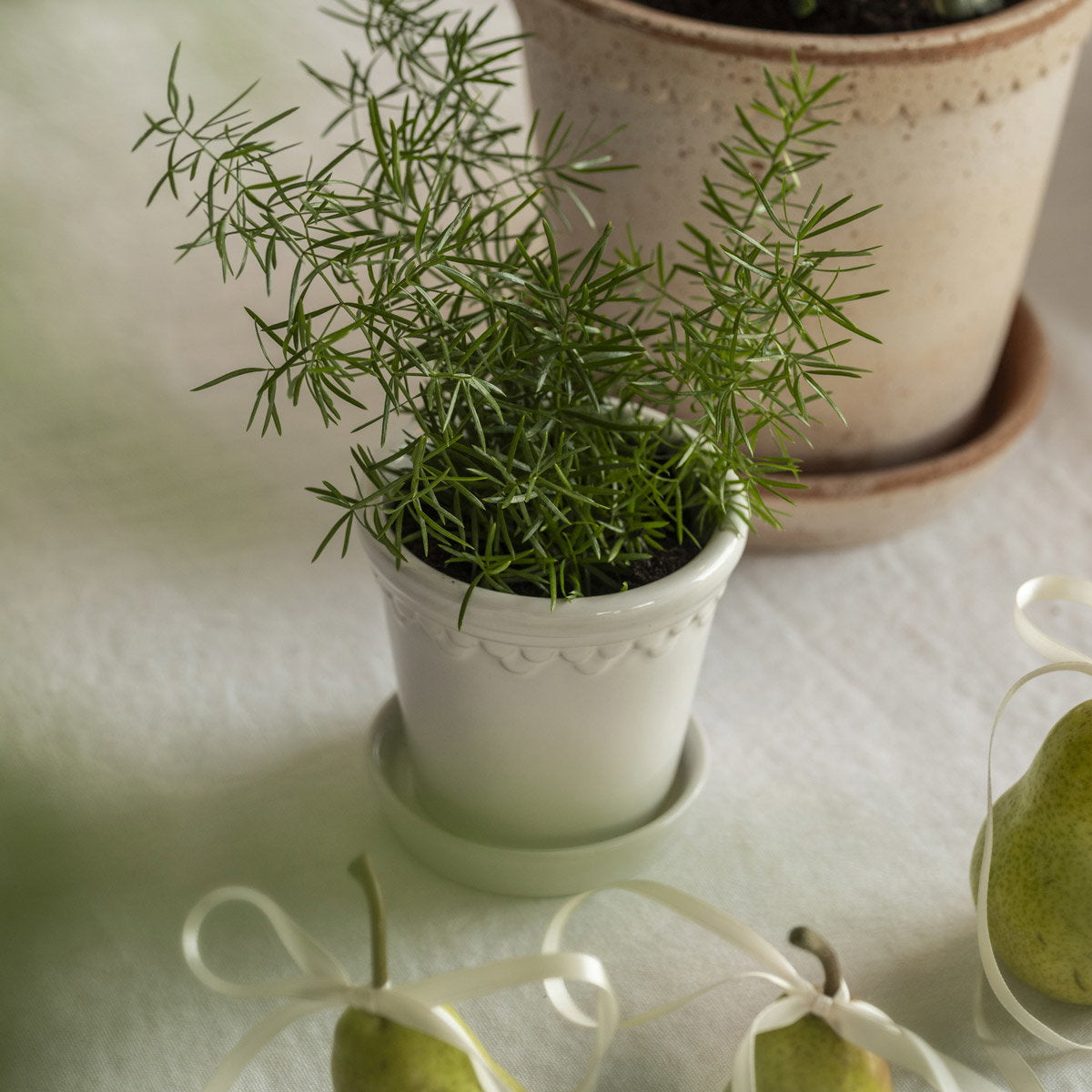 Københavner Pot Mineral White