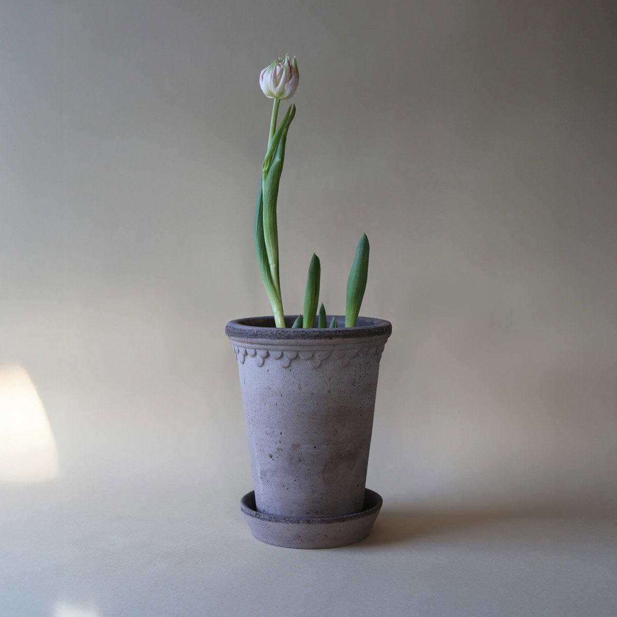 Københavner Tall Pot RAW Grey