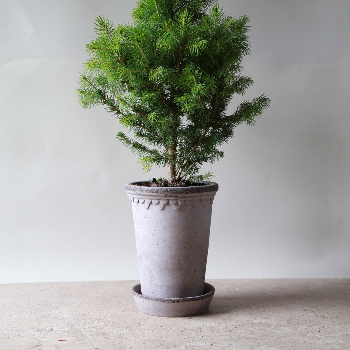 Københavner Tall Pot RAW Grey