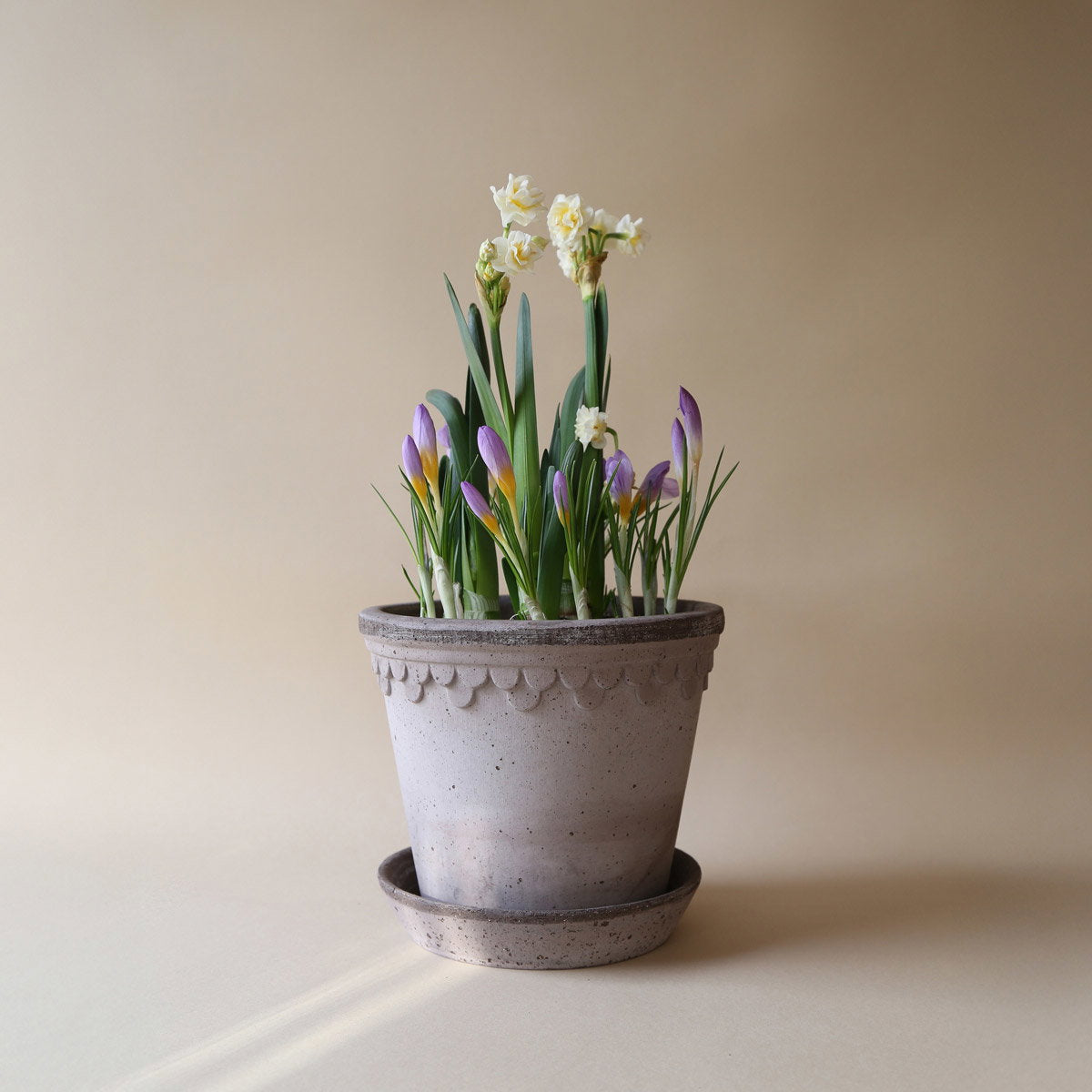 Københavner Pot RAW Grey