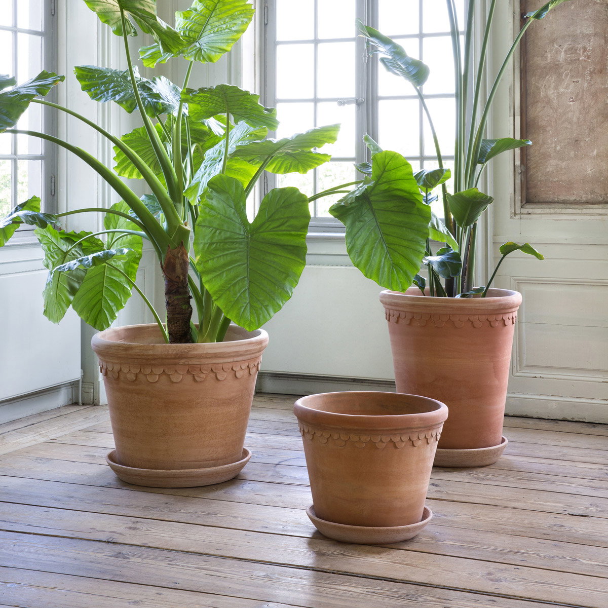 Københavner Large Pot RAW Rosa