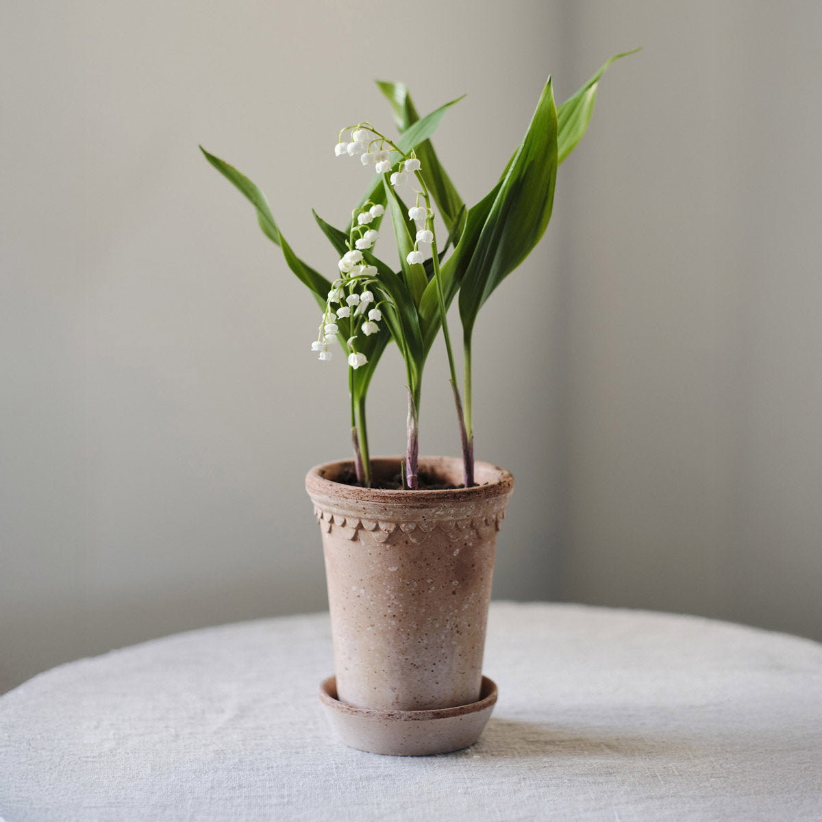 Københavner Tall Pot RAW Rosa