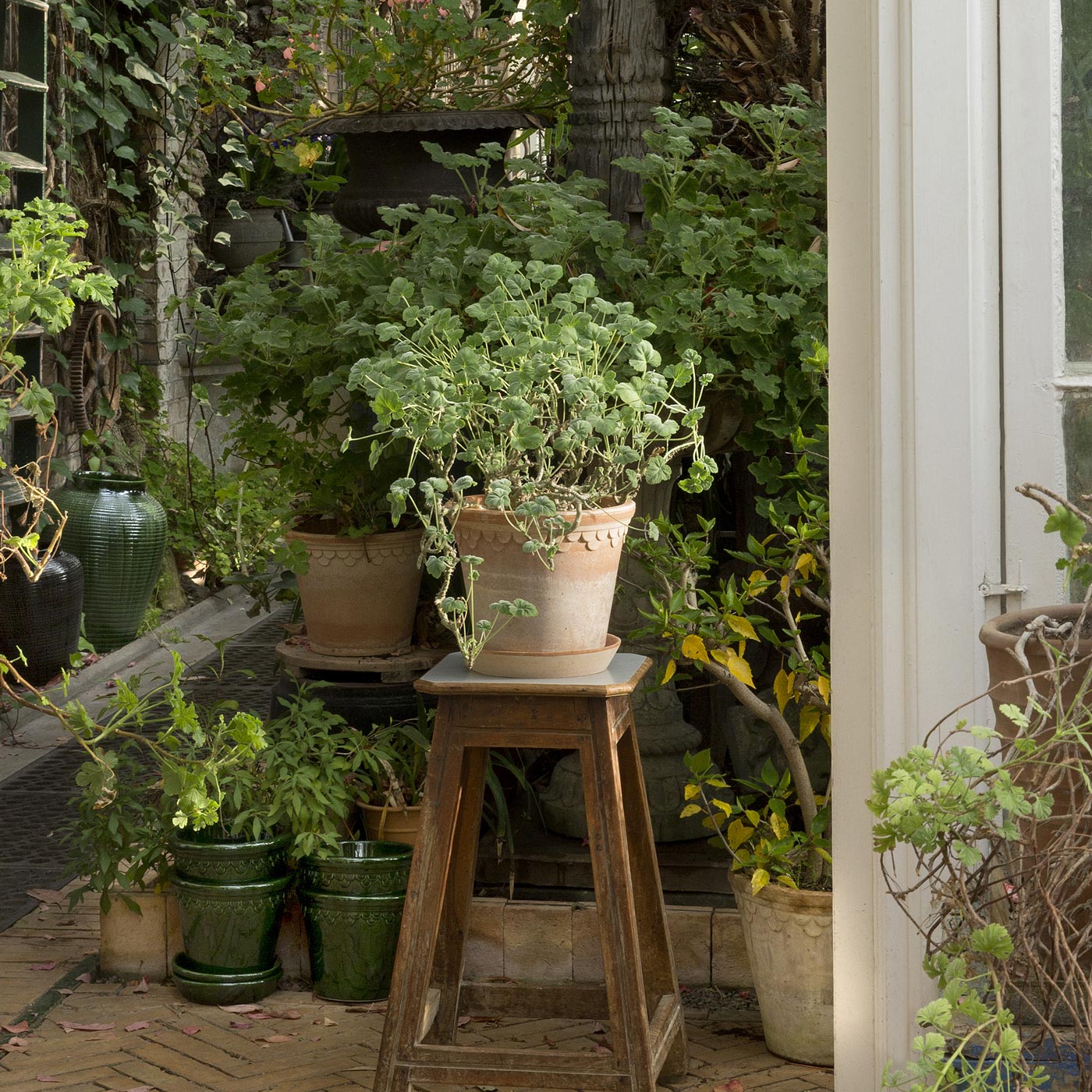 Københavner Pot RAW Rosa