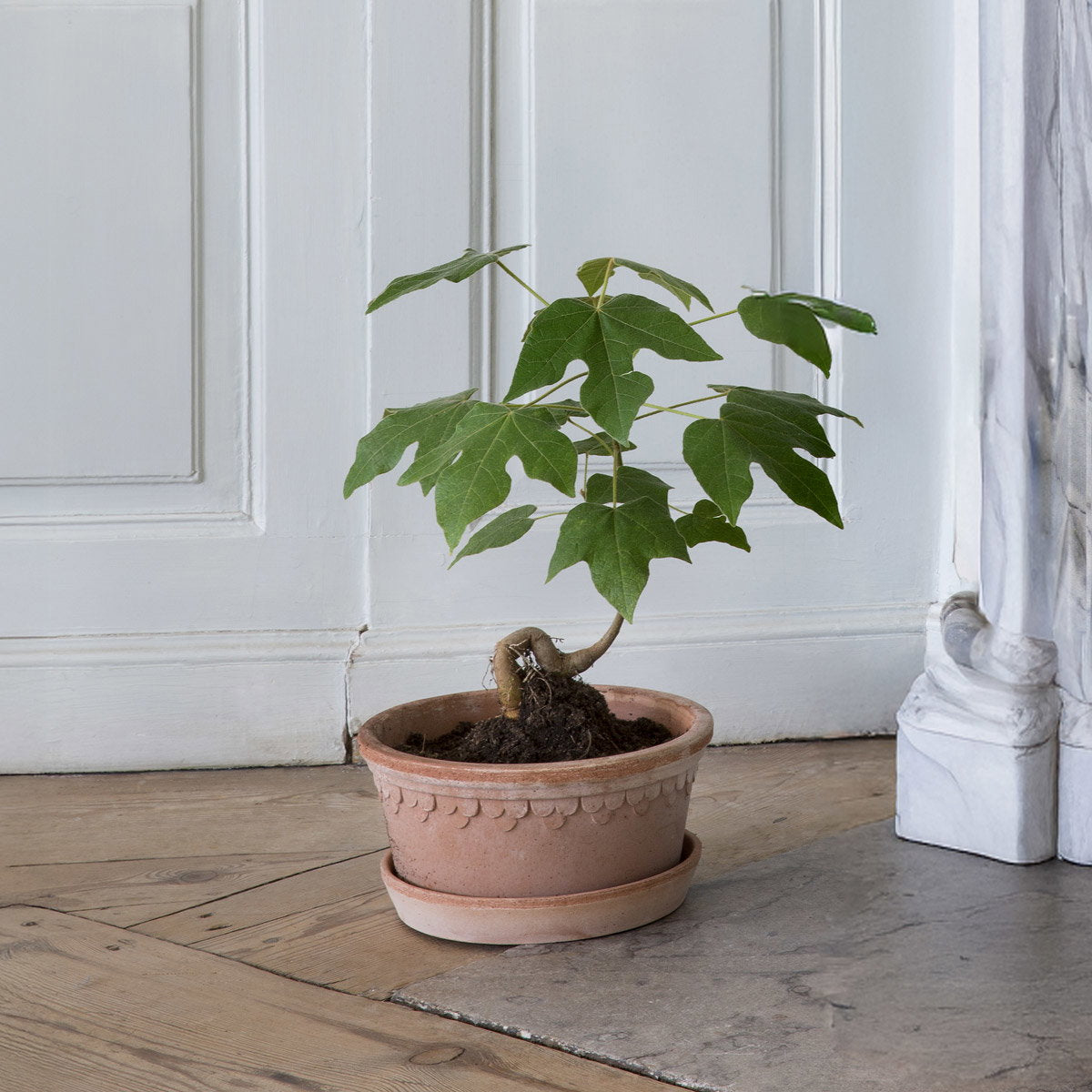 Københavner Low Pot RAW Rosa