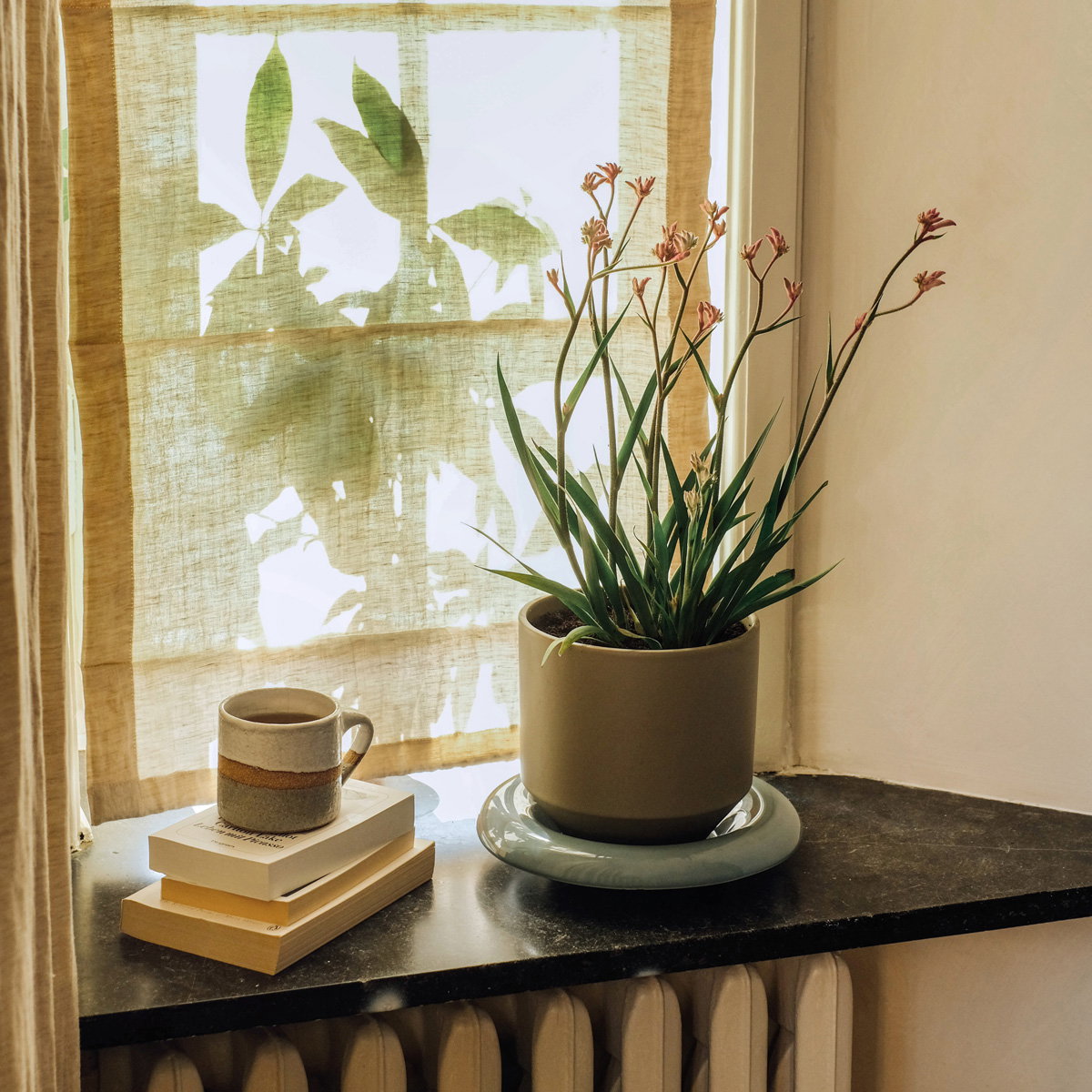 Lily Pot Sage Green