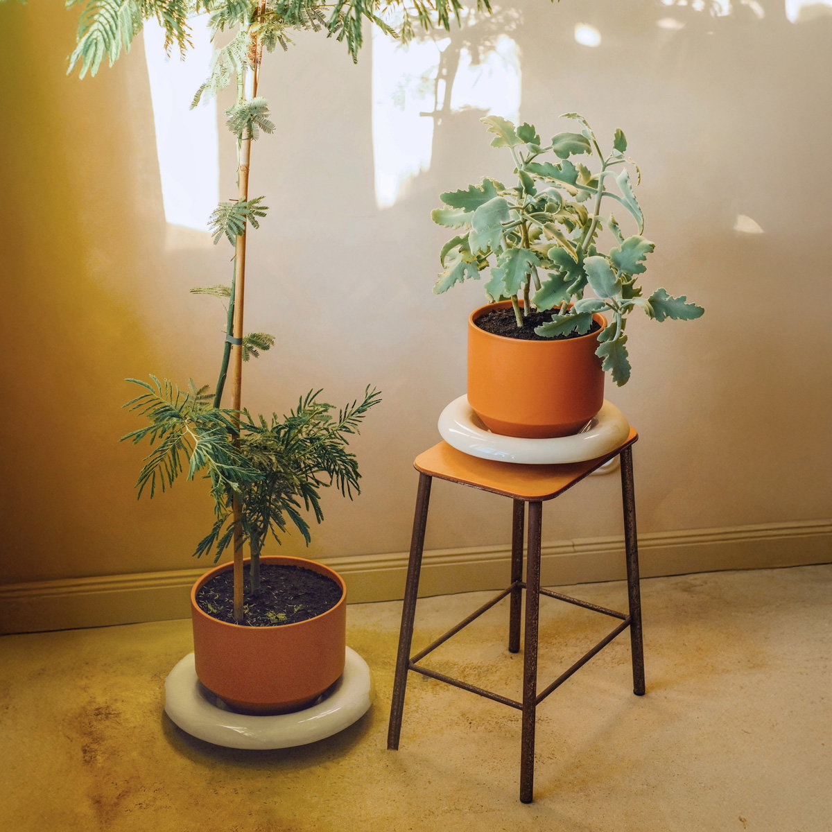Lily Pot Tangerine Orange