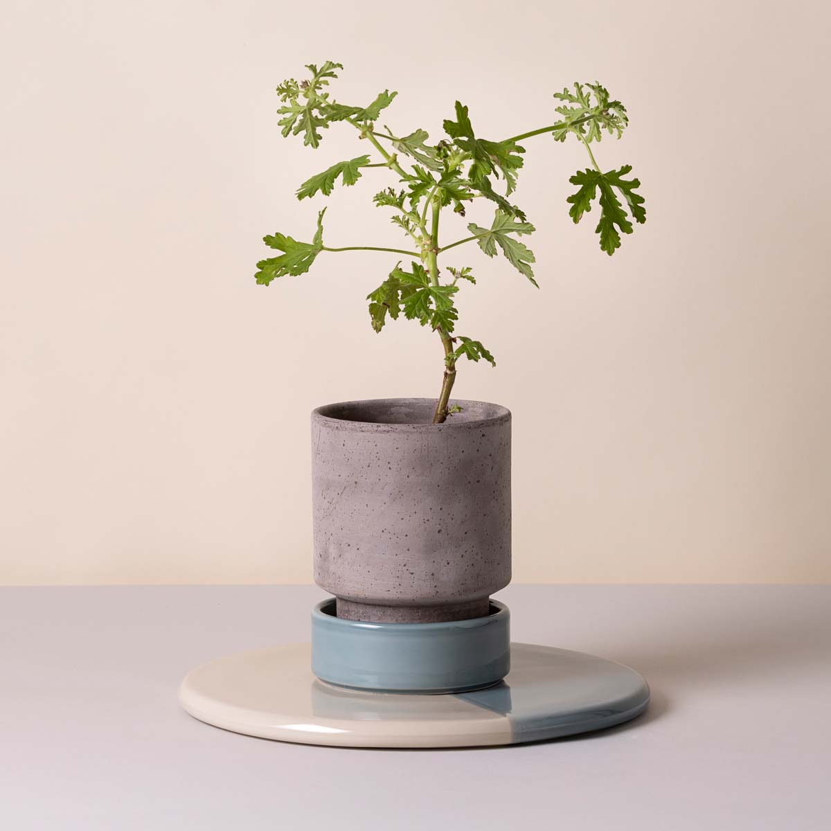 Nuna Botanical Board Misty Blue Sandstone