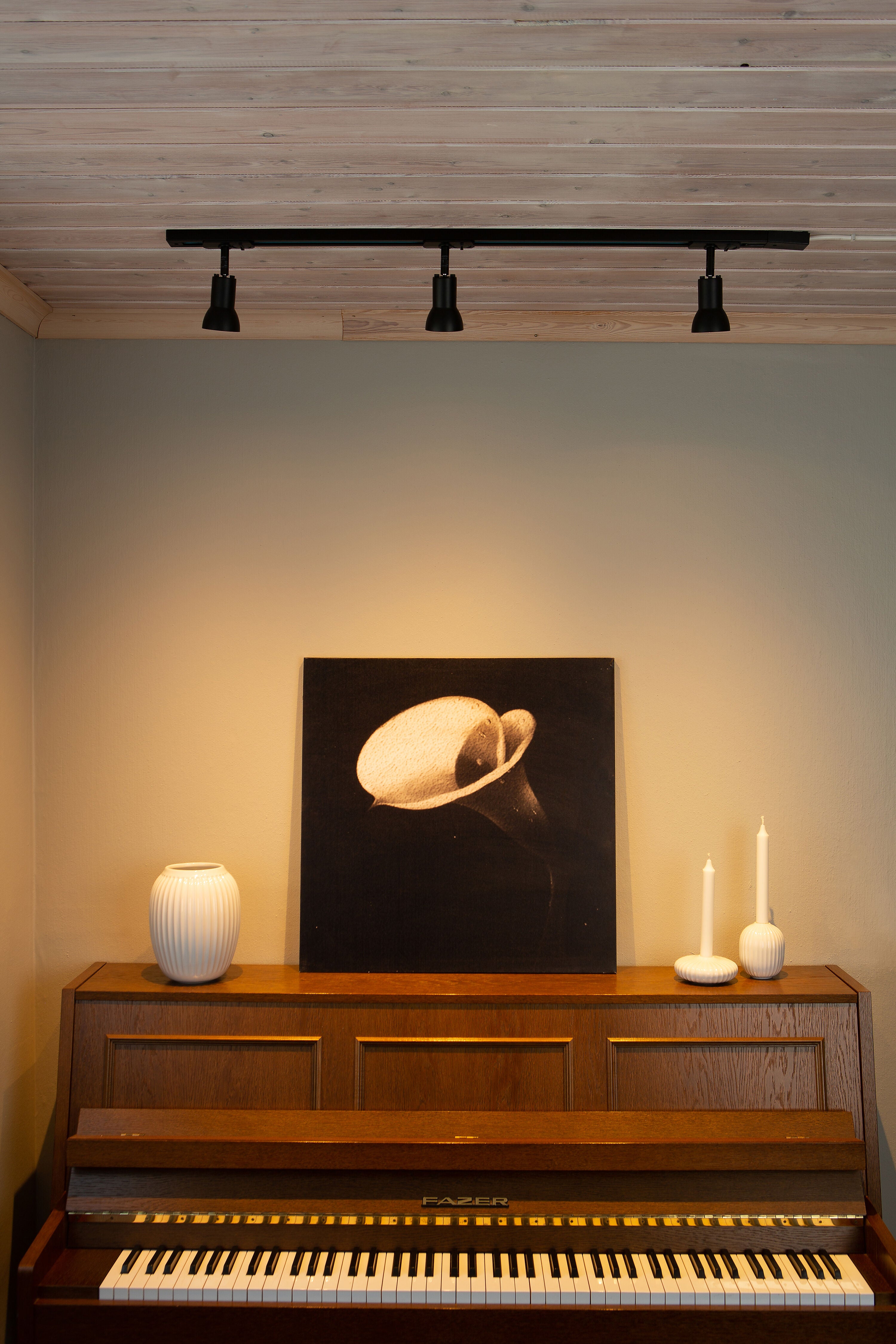 Aneta Home TRACKLINE Slim spot