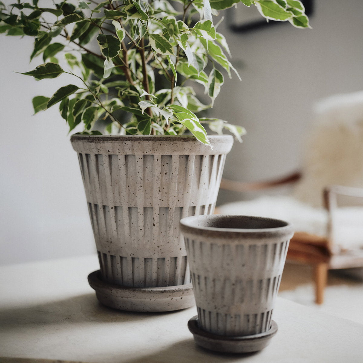Pantheon Pot RAW Grey