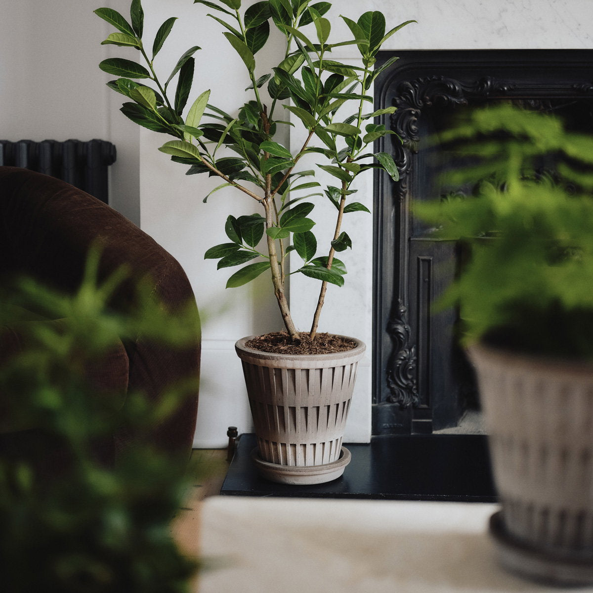 Pantheon Pot RAW Grey