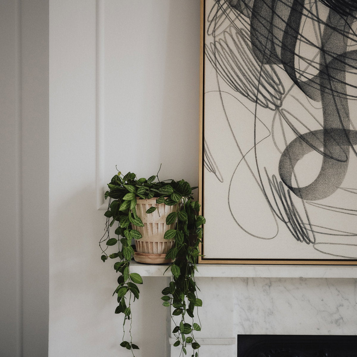 Pantheon Pot RAW Rosa