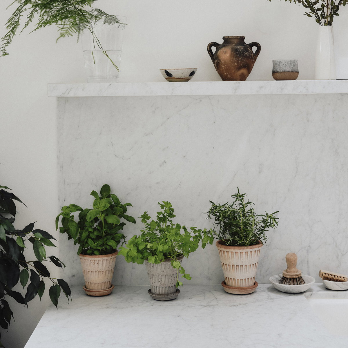 Pantheon Pot RAW Rosa