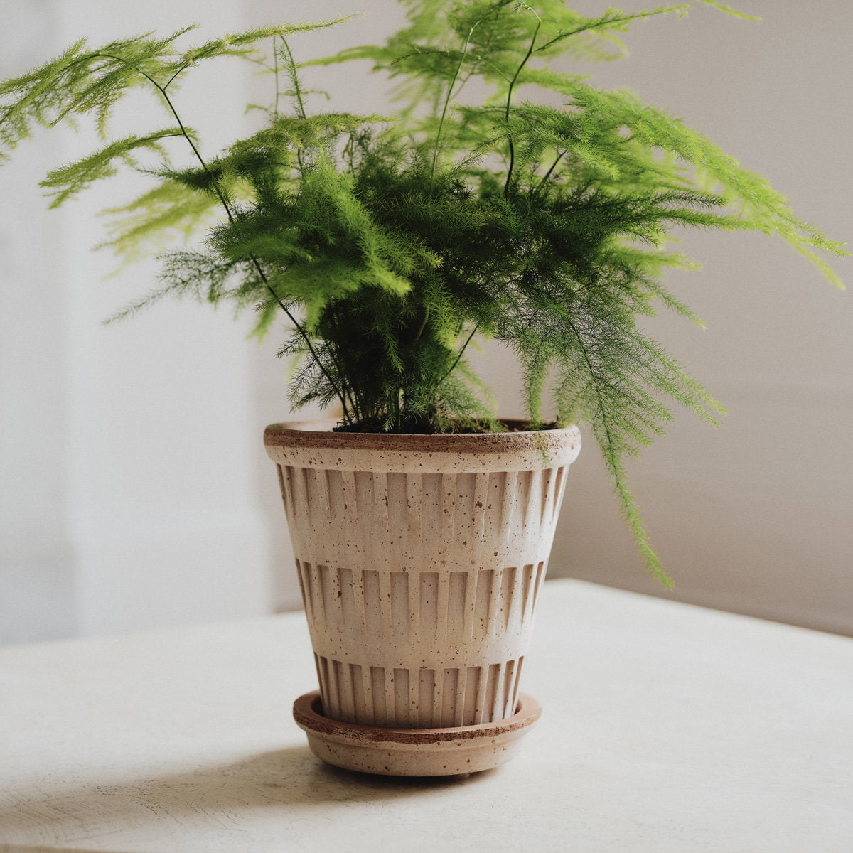 Pantheon Pot RAW Rosa