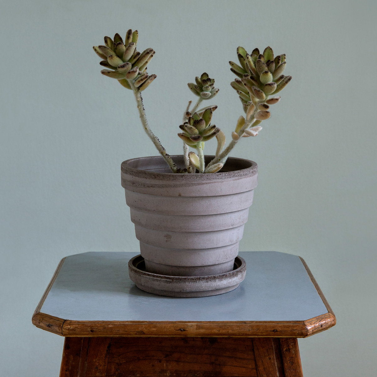 Planets Pot RAW Grey