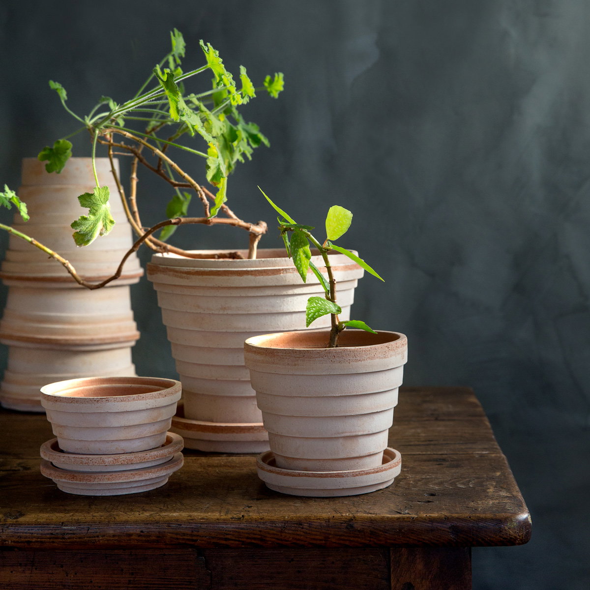 Planets Pot RAW Rosa