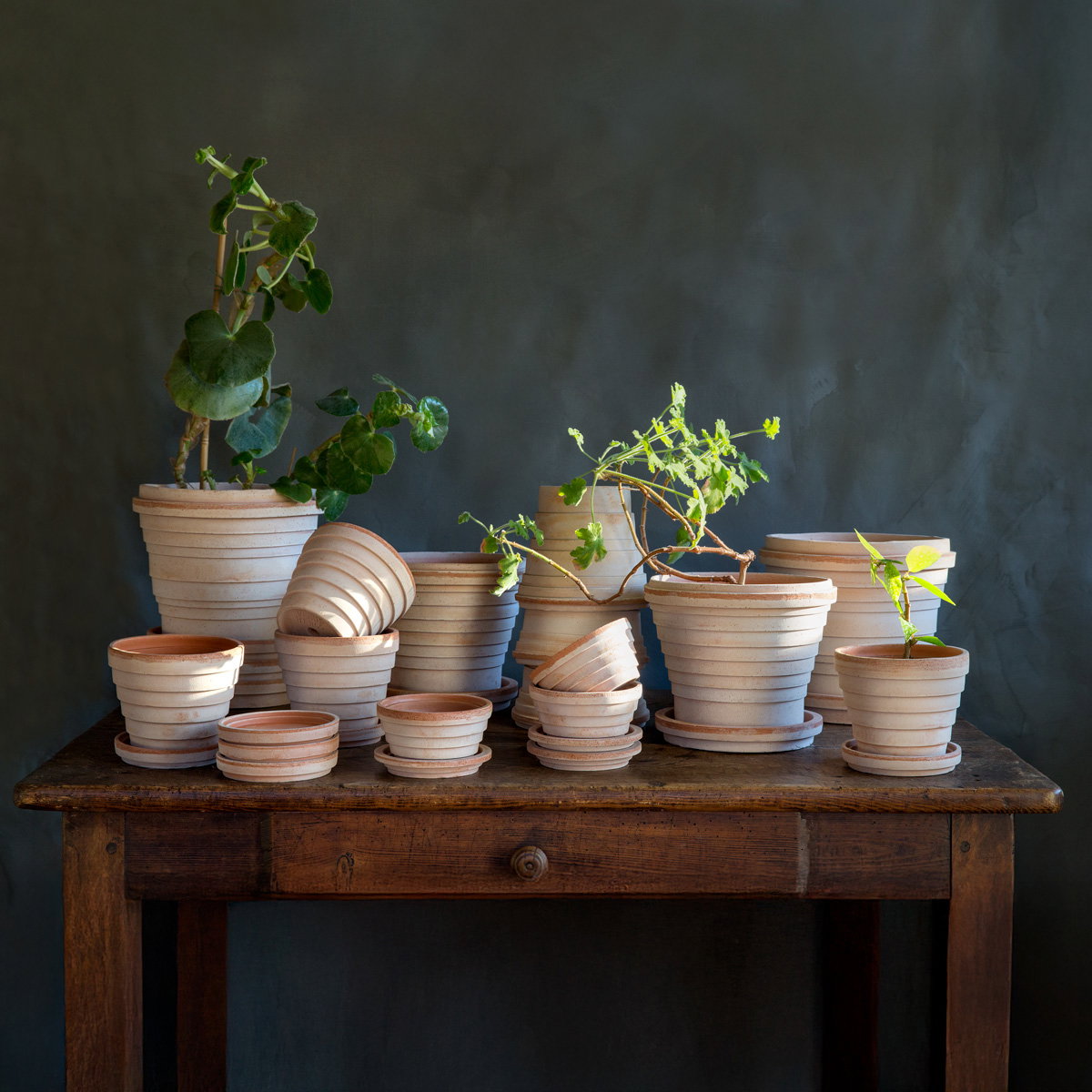 Planets Pot RAW Rosa