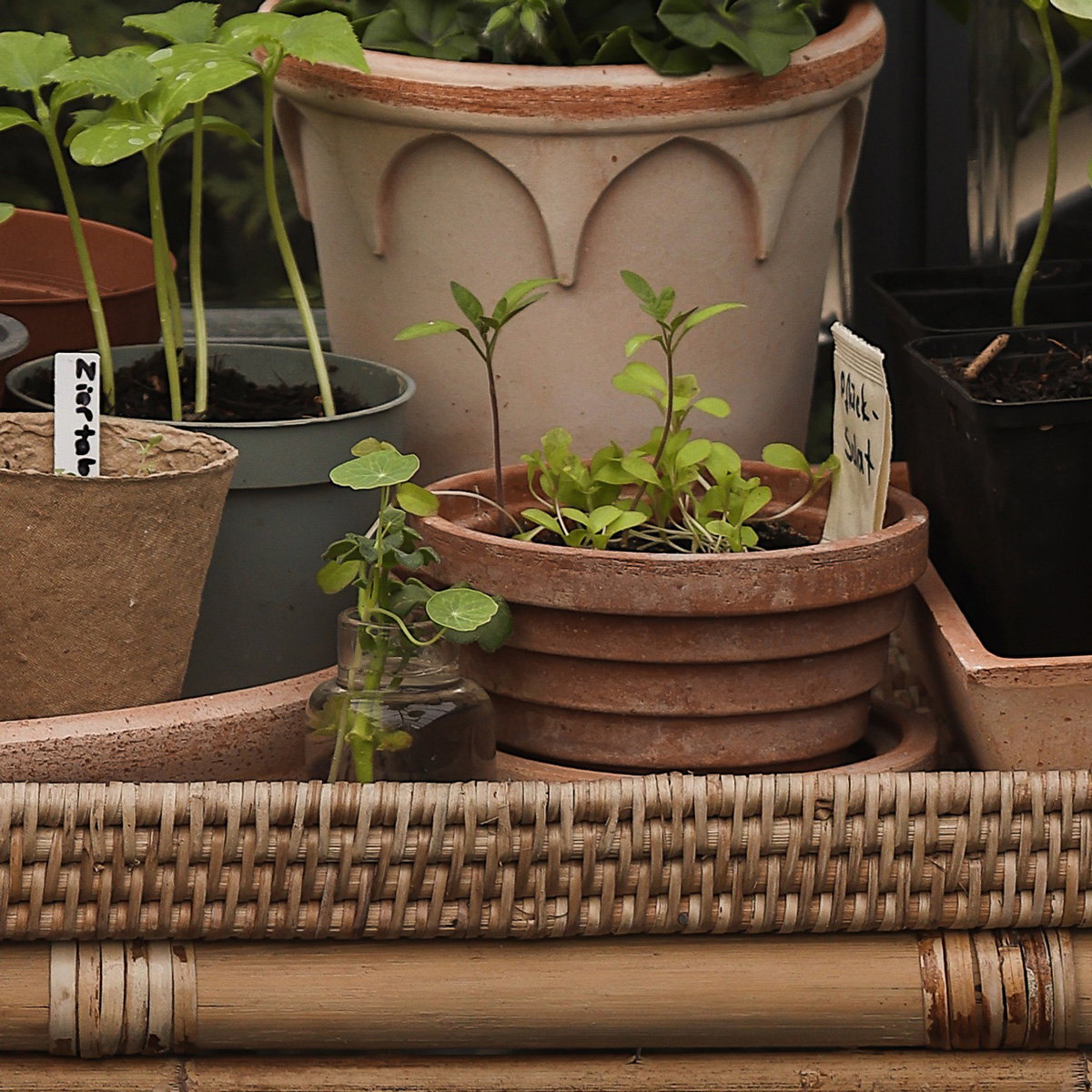 Planets Pot RAW Rosa