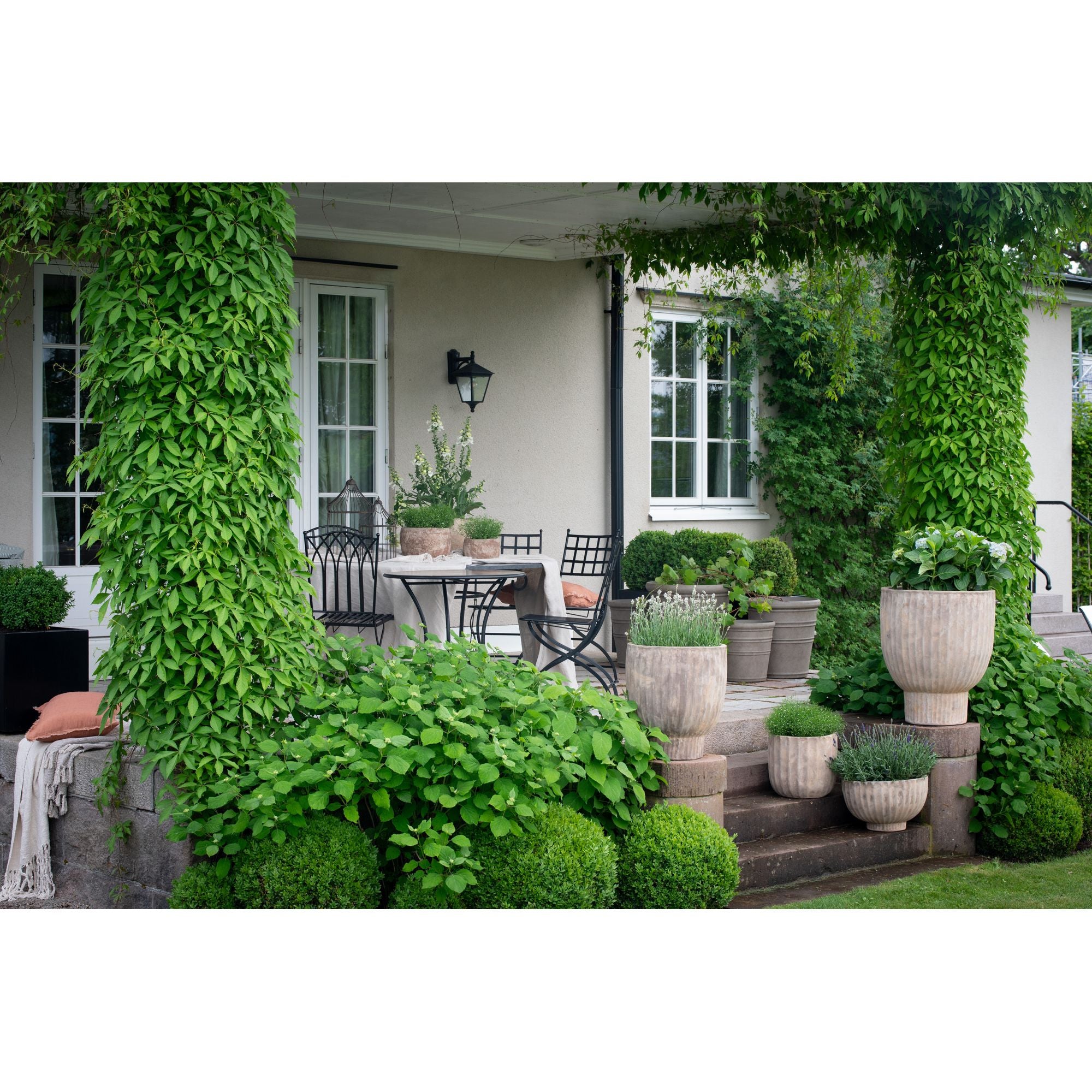 Wikholm Form MAJVOR KRUKA 2/S