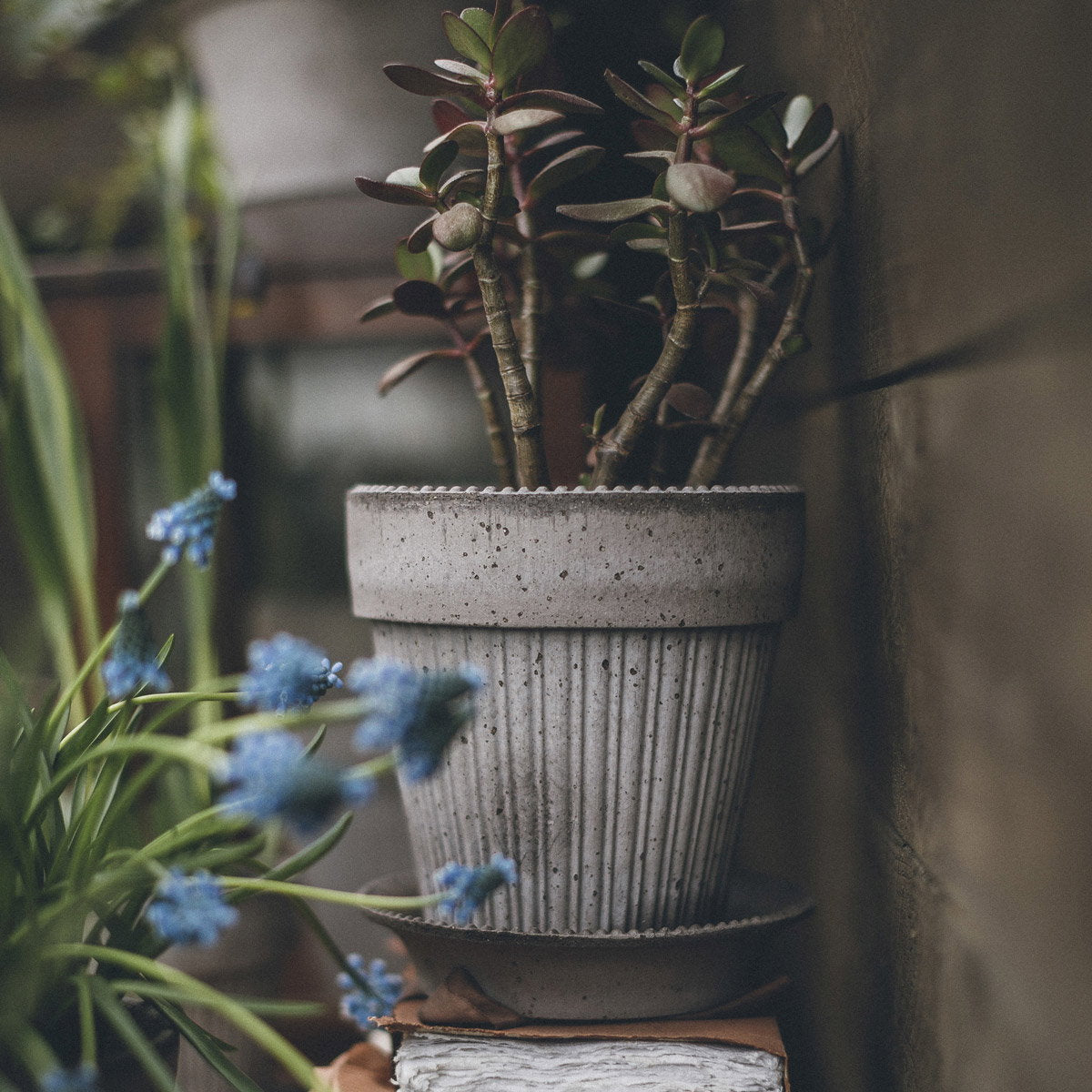 Simona Pot RAW Grey