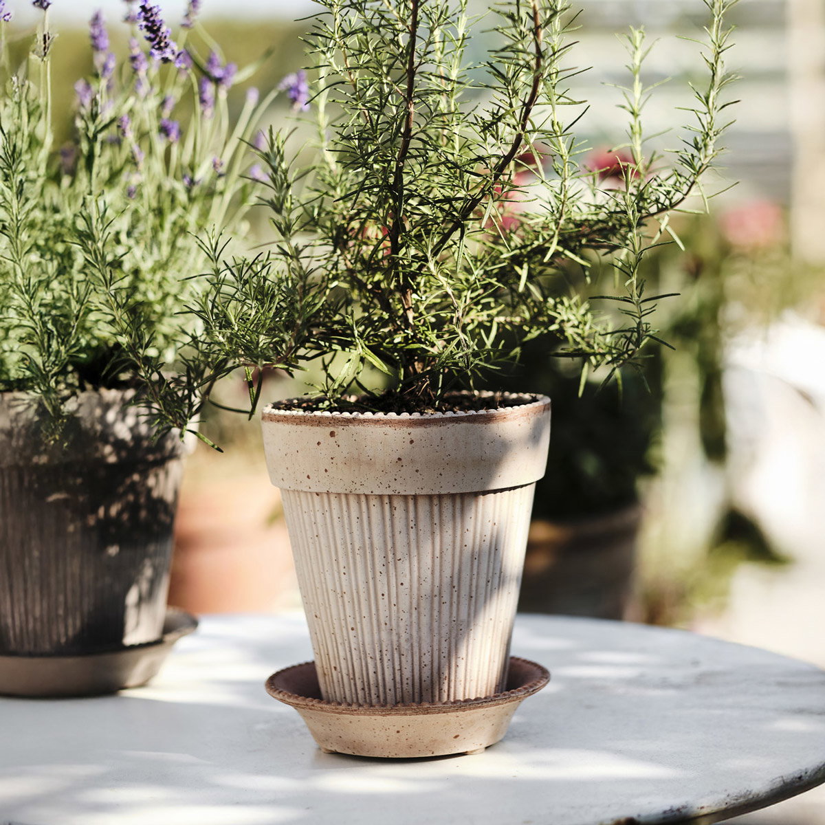 Simona Pot RAW Rosa