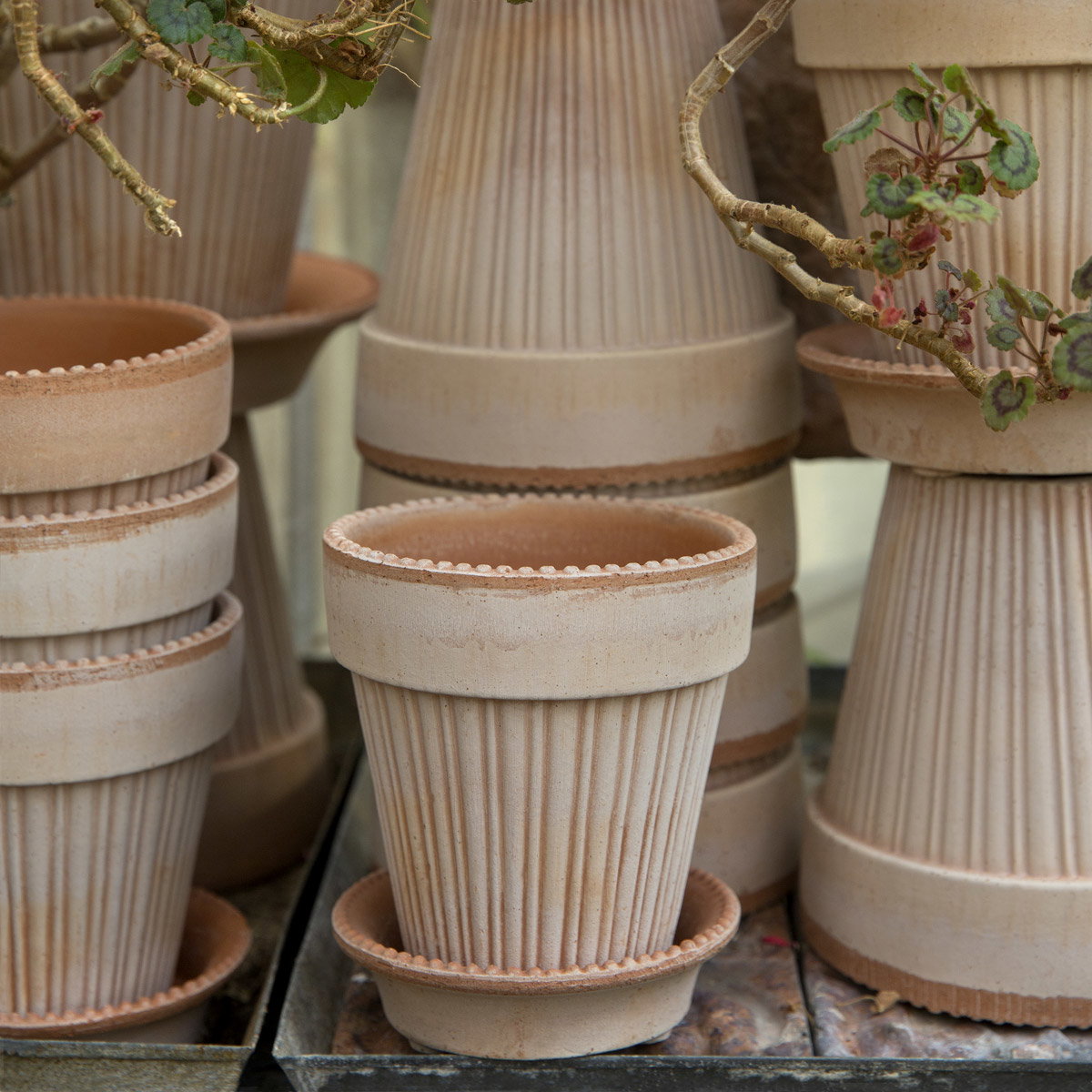 Simona Pot RAW Rosa