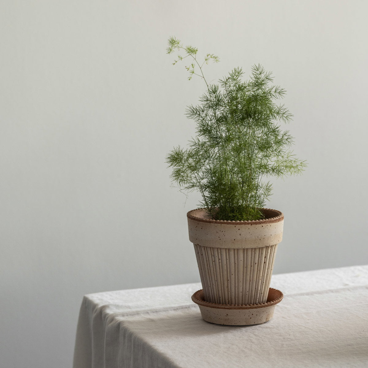 Simona Pot RAW Rosa