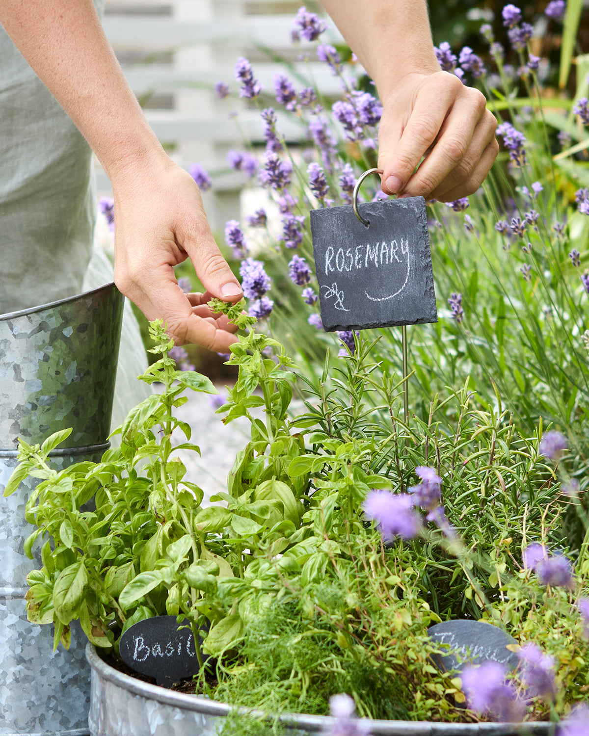 Affari of Sweden EBONY Trädgårdsskylt, 6-pack, Svart