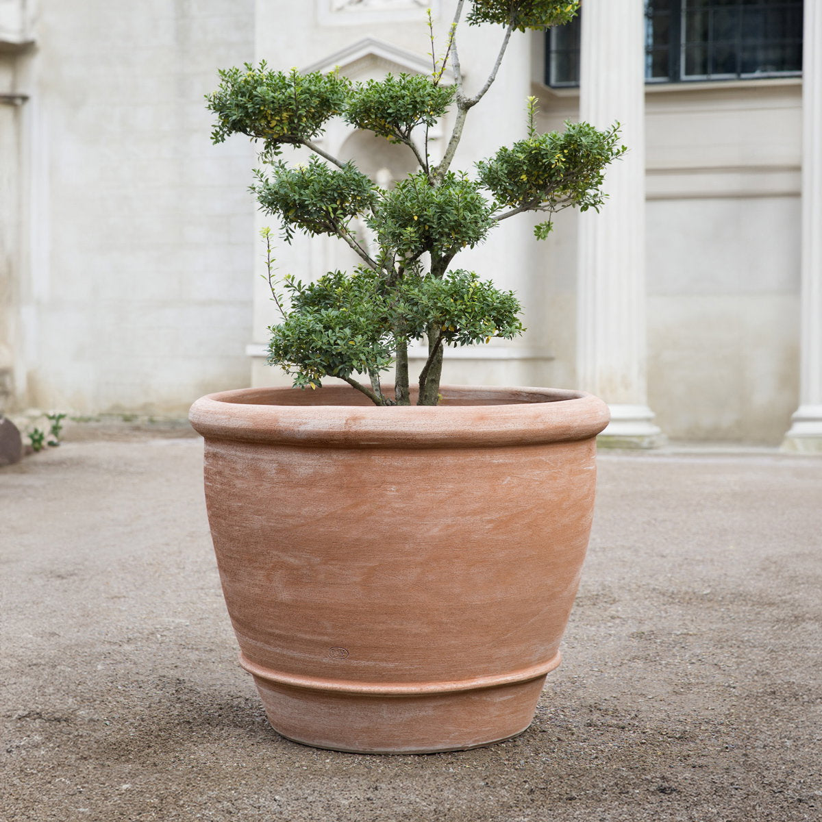 Campana Large Pot RAW Rosa