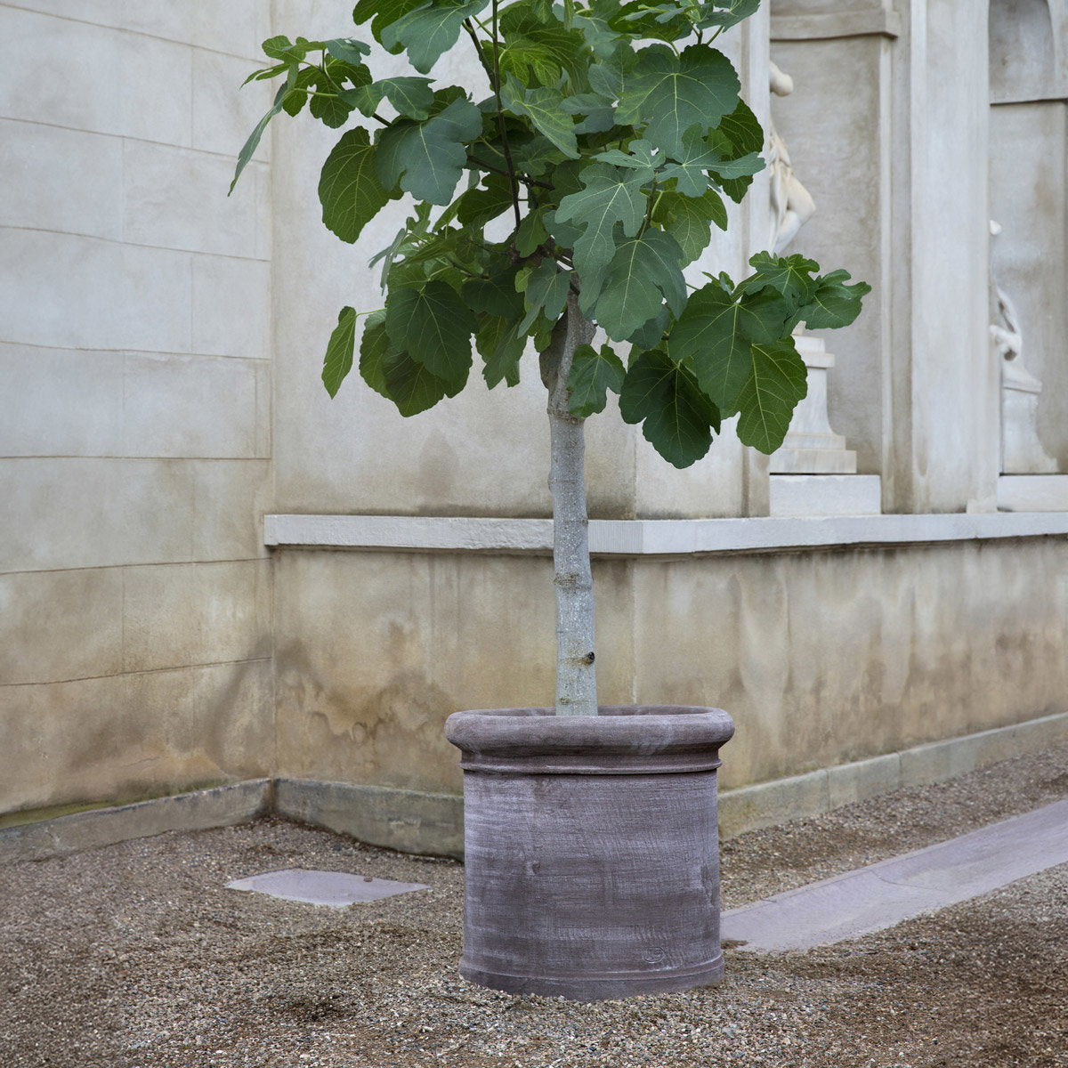 Cilindro Large Pot RAW Grey