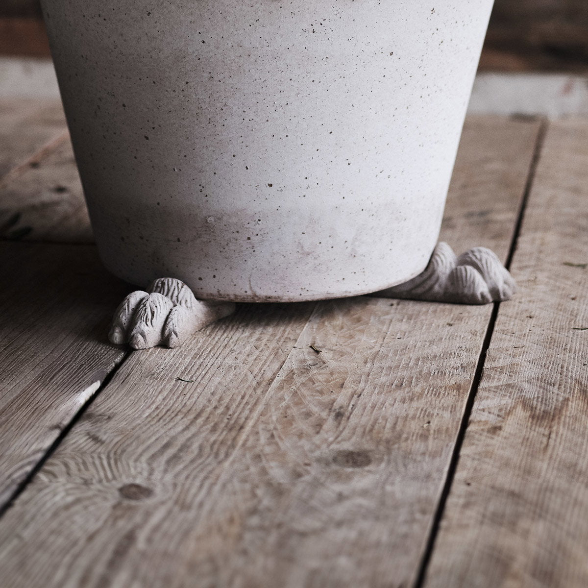 Lion paw Pot feet RAW Grey