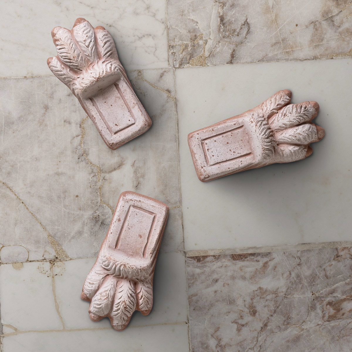 Lion paw Pot feet RAW Rosa